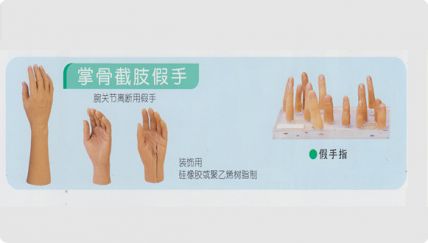 掌部截肢假手